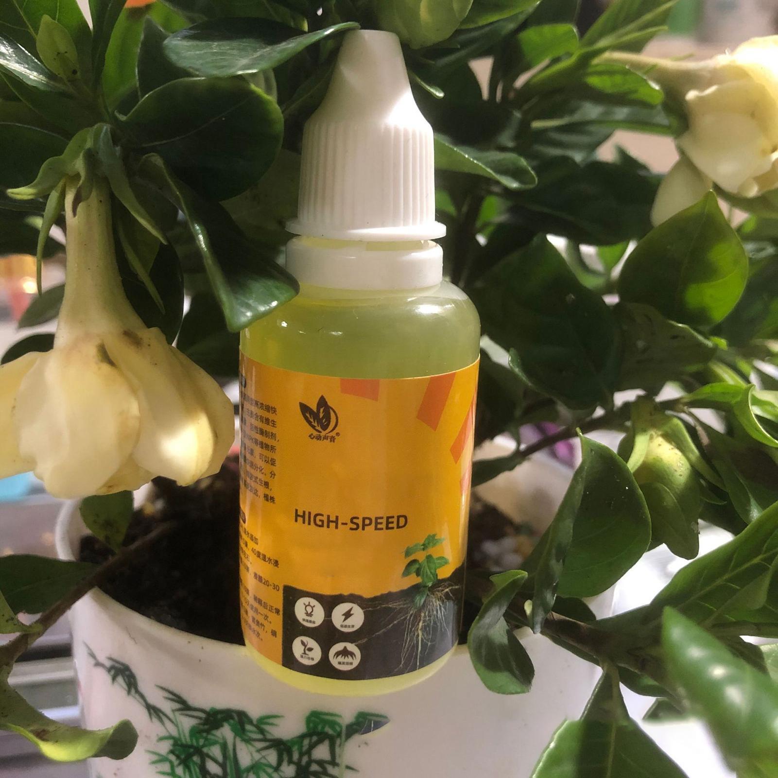 Раствор для быстрого укоренени – обзор и цена Root Stimulator Liquid