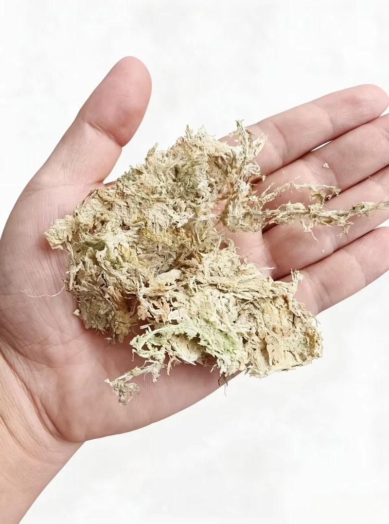 Премиальный сфагнум для орхиде – обзор и цена Sphagnum Moss Dry